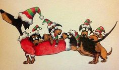 a group of dachshund dogs wearing christmas hats