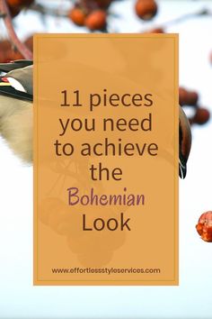 a bird perched on top of a tree with the words 11 pieces you need to achieve the bohemian look