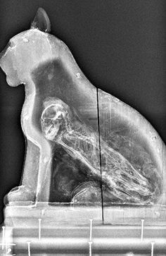 Ancient Aliens, Aliens And Ufos, Animales, X Ray, Animaux, Cats In Ancient Egypt, Rays, Escondido, Conservation