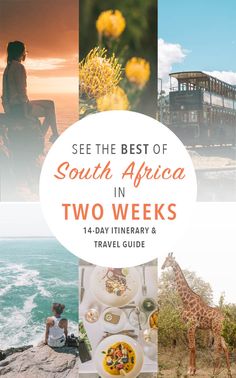 the cover of see the best of south africa in two week's travel guide