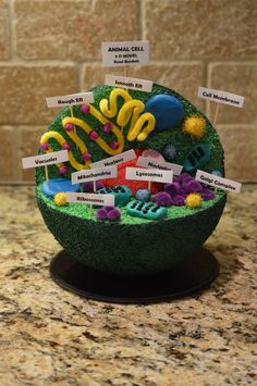 an animal cell model is displayed on a counter top with name tags attached to it