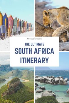 the ultimate south africa itinerary with pictures and text overlay that reads, the ultimate south africa itinerary