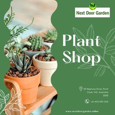 Time to repot your plants? Gifting plants is now easier than ever with our efficient order process and fast delivery! To know more, reach out to us @ 🌐www.nextdoorgarden.online ☎️+61 423 092 354 📧 nxtdoorgarden@gmail.com #nextdoorgarden #houseplant #garden #hangingplants #gardentips #gardenlife #iloveplant #instaplant #freeshipping #plant #gardening #nature #neighborhood #flower #environtmental #sharing #lovegardening #gardeningismytherapy Etsy, Plant Lover