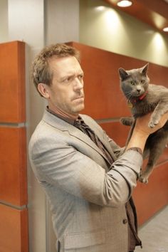 Hugh Laurie Cat Breeds, Hugh Laurie, Dog Cat, Cat Love