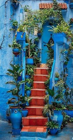a blue building with red steps and potted plants