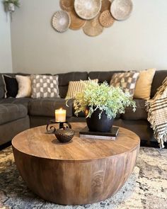 a living room with a couch, coffee table and potted plant on top of it