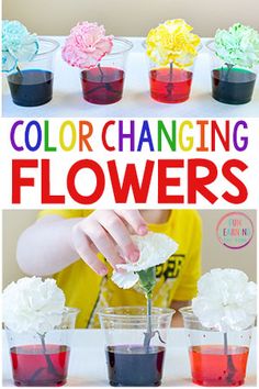 colorful flowers are being used to make flower vases with colored water and tissue paper