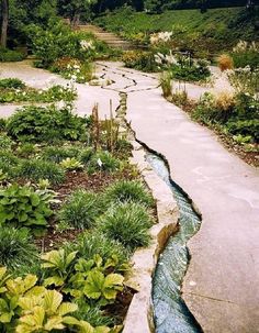 a river running through a lush green forest filled with flowers and plants next to a stone walkway