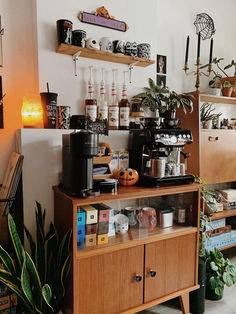 a coffee bar with shelves and plants on the wall