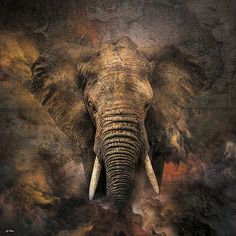 an elephant with tusks standing in the clouds