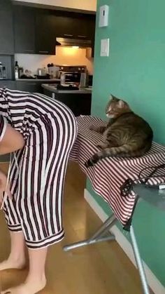 a cat laying on top of a chair next to a woman in striped pants and heels