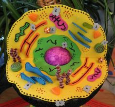 a paper plate with an image of a plant on it's side and other decorations around it