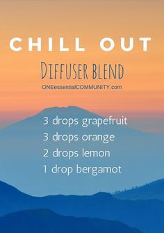 Need to relax a little? Need to find your happy place? Try this Chill Out essential oil diffuser blend {with grapefruit, orange, lemon and bergamot-- it smells amazing!!} Detox