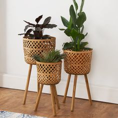two wooden planters with plants in them sitting on top of a wood floor next to a white wall