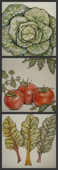 three different types of vegetables are depicted in this drawing, and each one has an image of
