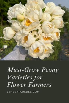 bunch of white peonies Prom, Gardening, Spring Bulbs, Peony Farm, Cut Flower Farm, Coral Peonies, Flower Farm, Peonies Garden