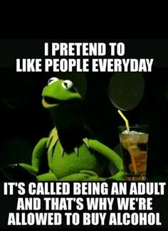 Funny Quotes Sarcasm, Funny Jokes For Adults, Funny Kermit Memes