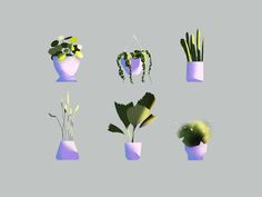 there are many different types of plants in vases on the same color as each other