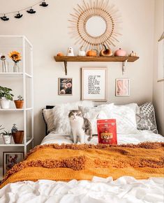a cat sitting on top of a bed in a bedroom