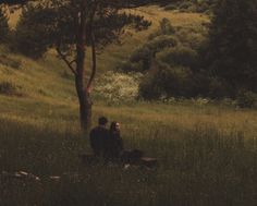 two people are sitting under a tree in the middle of a grassy field with trees