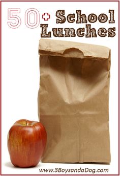 an apple next to a brown paper bag with the words 50 + school lunches on it