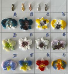 several different colored flowers are arranged on a white tile surface with numbers in the background