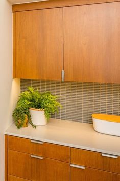 a kitchen with wooden cabinets and white counter top next to potted plants on the counter