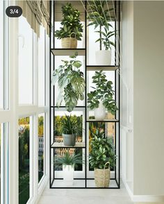a room with plants in the window sill