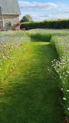 a house in the middle of a field with flowers growing on it and grass lined path