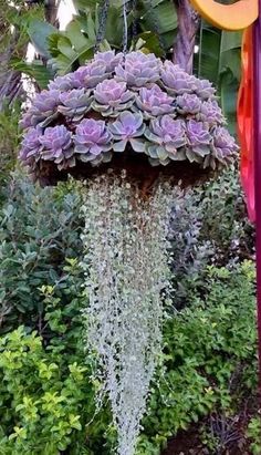an outdoor fountain with plants growing out of it's sides and hanging from the side