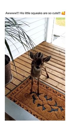a small deer standing on top of a wooden floor next to a door mat and potted plant