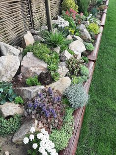 a garden filled with lots of rocks and flowers