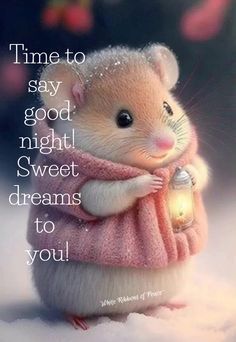 a little mouse holding a lantern in its hand with the words time to say good night sweet dreams to you