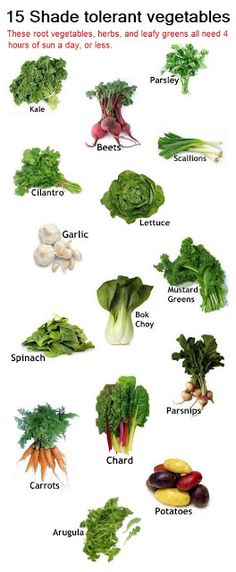 an image of vegetables that are labeled in english