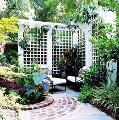 Old-World Privacy Trellis - Project Plan 503483 Backyard Privacy, Front Yard, Patio Garden