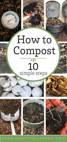 how to compost 10 simple steps