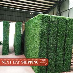 several large green hedges in a warehouse