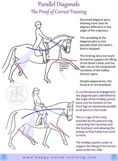 an instruction manual for how to ride a horse with diagrams on the front and back