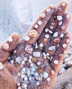a person's hand is covered in sea shells and seashells on the beach