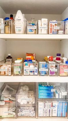 an organized pantry filled with lots of different types of medicine bottles and containers on top of shelves