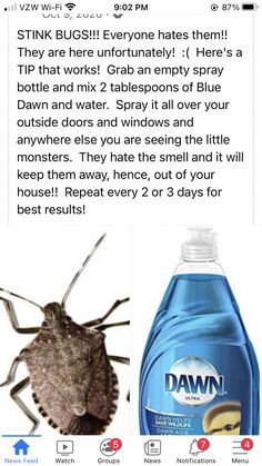 an image of a bug and a bottle of dawn insect repellent on instagram