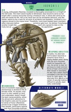 Pitbull, Design, Transformers Energon, Armor Concept