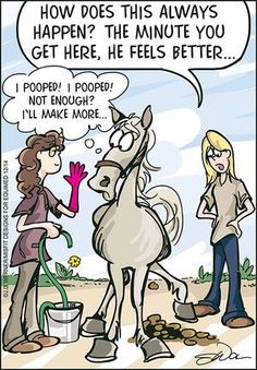 a cartoon depicting two women talking to a horse and the caption says how does this always happen?
