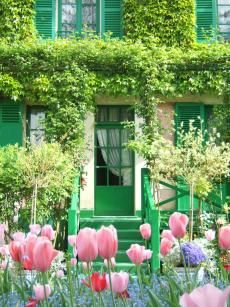 pink tulips in front of green shuttered windows and steps leading to the door