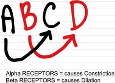 the abc and d letters are drawn on lined paper with red marker writing in it