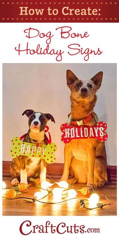 two dogs sitting next to each other with holiday signs on their collars and tags in front of them