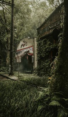 an abandoned building in the middle of a forest filled with trees and bushes, surrounded by lush green foliage
