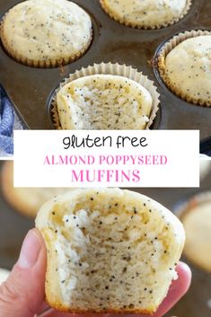a muffin in a muffin tin with the text gluten free almond poppy seed muffins
