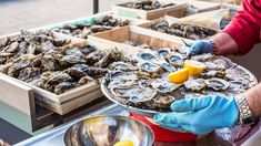 #1 reason to eat oysters in Aquitaine? The 350 small-scale oyster farmers there mainly produce for the surrounding area only - minimal exports. Shucks 😉 Ideas, Fresh, Fresh Oysters, Bordeaux Wine, Bordeaux France, Fine Wine