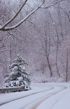 Nature, North Carolina, North Carolina Mountains, Trips, Winter, Blue Ridge Mountains, Blue Ridge, Snowy Day, Winter Landscape